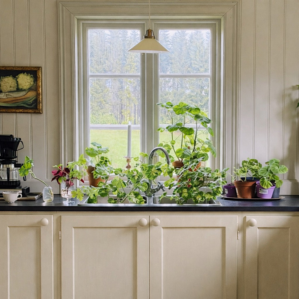 Träknopp Västanvik - Tillverkad i Sverige av svenskt trä